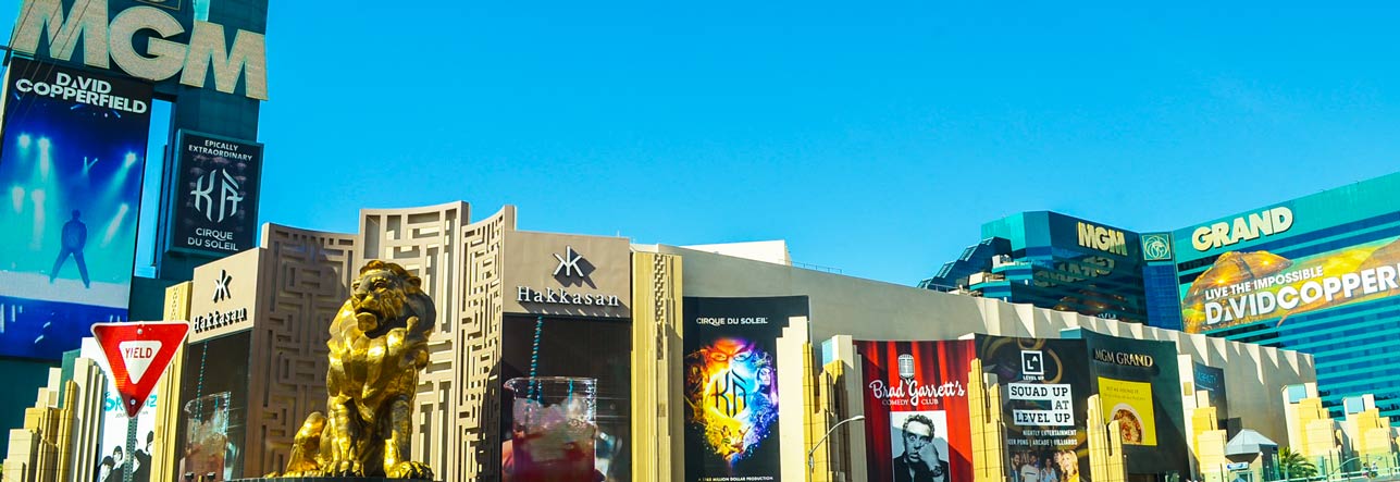 dr love on vacation real money