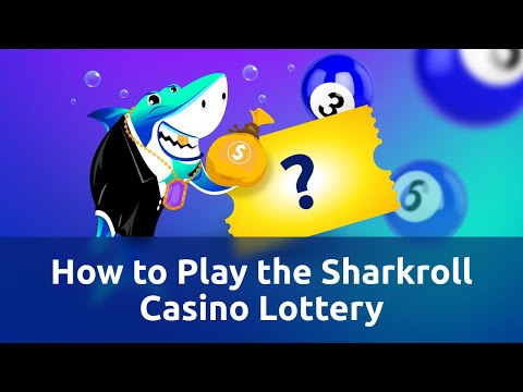 Experience the Thrill: Sharkroll Casino Login - Play Your Favorite Games in English