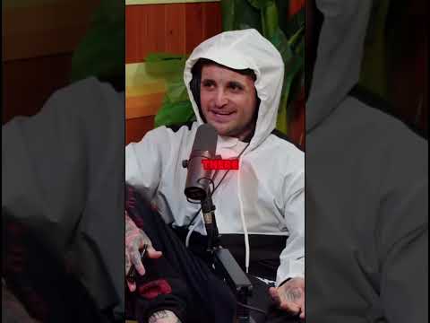 Spill din favorte spil på Kingdom Casino - Den bedste online spillekasino i Danmark